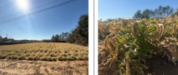 잇단 화학사고 유발 ㈜진양에너지 당국 처분 예정