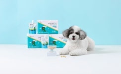 대상펫라이프 닥터뉴토, ‘올라이즈 강아지 한입 미니 펫밀크 P’ 선보여