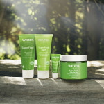 품절대란 만능크림 ‘벨레다 슈퍼푸드’ 올리브영 입점