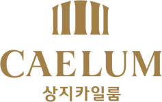 [특징주] 건설 관련주 상지카일룸, 논현동 주거 개발사업 용역 계약 체결