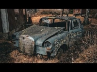 클래식카 1000대가 버려진 스웨덴의 숲 “누구나 들어갈 순 있지만…”