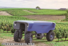 스타트업 비티봇의  ‘포도 재배 로봇’