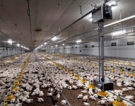 AGCO, 농축산 로봇 개발사 파로매틱스 인수