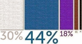 [정성훈 칼럼] 주짓수 보라 띠의 의미에 관하여