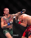 UFC 해설위원 오말리 잘했지만, 얀이 이긴 경기
