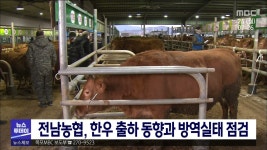 전남농협, 한우출하 동향과 방역실태 점검
