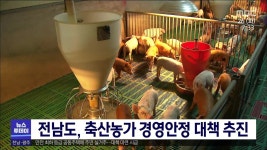 전남도, 축산농가 경영안정 대책 추진
