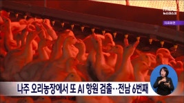 나주 오리농장에서 또 AI 항원 검출.. 전남 6번째
