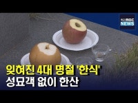 잊힌 4대 명절 한식, 성묘객 없이 한산(R)