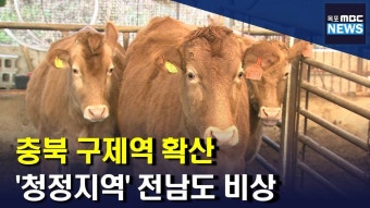 충북 구제역 확산..전남 농가도 비상(R)