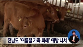 전남도 여름철 가축 피해 예방 나서
