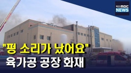 펑 소리가 났어요 육가공 공장 화재(R)
