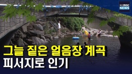 땡볕에 그늘 짙은 얼음장 계곡.. 피서지로 인기(R)