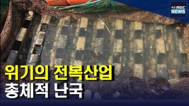 위기의 전복산업..생산 유통 총체적 문제(R)