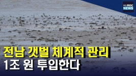 전남 갯벌 체계적인 관리 나선다