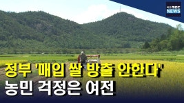 매입 쌀 방출 안하겠다.. 농민 걱정은 여전