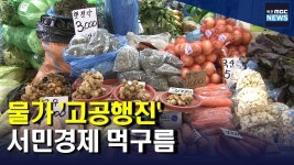 먹거리물가 인상.. 서민가계 주름살