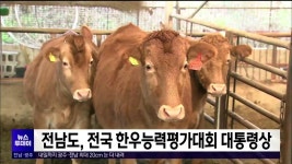 전남도, 전국 한우능력평가대회 대통령상