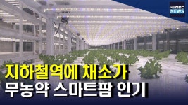 지하철 역에 채소가 파릇파릇