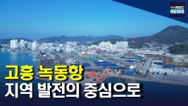 녹동, 고흥 발전의 중심으로 우뚝