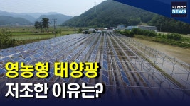 영농형 태양광 저조한 이유는?