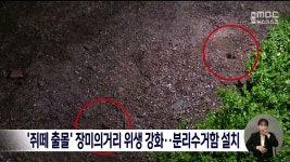 쥐떼 출몰 장미의거리 위생 강화..분리수거함 설치