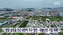 영암 삼호읍 인근 8천여 가구 정전..대불산단 기업 피해