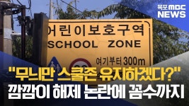 딜레마에 예산도 낭비..무늬만 스쿨존 괜찮나?