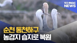 순천 동천하구 역간척 습지 복원