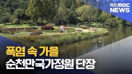 순천만 국가정원의 폭염 속 가을