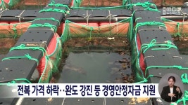 전복 가격 하락.. 완도 강진 등 경영안전자금 지원