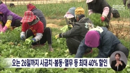 오는 26일까지 시금치·봄동·열무 등 최대 40% 할인