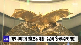 함평나비축제 4월 25일 개최..260억 황금박쥐빵 첫선