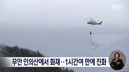 무안 인의산에서 화재..1시간여 만에 진화