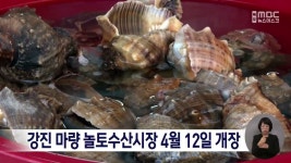 강진 마량 놀토수산시장 4월 12일 개장