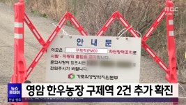 영암 한우농장 구제역 2건 추가 확진