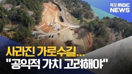 사라진 가로수길...공익적 가치 고려해야