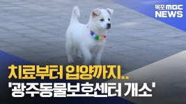 치료부터 입양까지..광주동물보호센터 개소