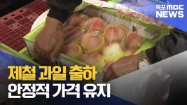 제철 과일 출하..안정적인 가격 유지