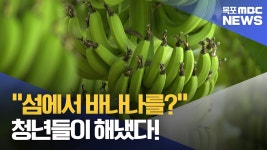 섬에서 바나나 수확..청년농부의 도전