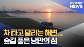 차 타고 달리는 해변...숲길 품은 낭만의 섬