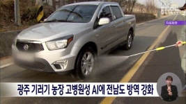 광주 기러기 농장 고병원성 AI에 전남도 방역 강화