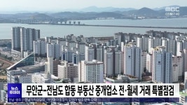 무안군-전남도 합동 부동산 중개업소 전*월세 거래 특별점검