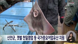 Naver 搜索结果照片 6