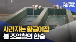 사라지는 황금어장…위판장에는 ‘한숨’