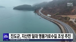 진도군, 지산면 일대 명품가로수길 조성 추진