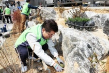충북교육청 교직원들, 25년 3월 개교 학교에 꽃잔디, 무궁화 식재