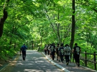 충북교육청 학생수련원, 자기성장 프로그램 특성화 과정 운영