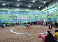 태안교육지원청, 제53회 충청남도소년체육대회 우수성적 달성