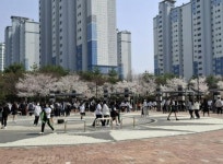 화성 향일고등학교, 점심시간 활용 봄맞이 교육활동 운영